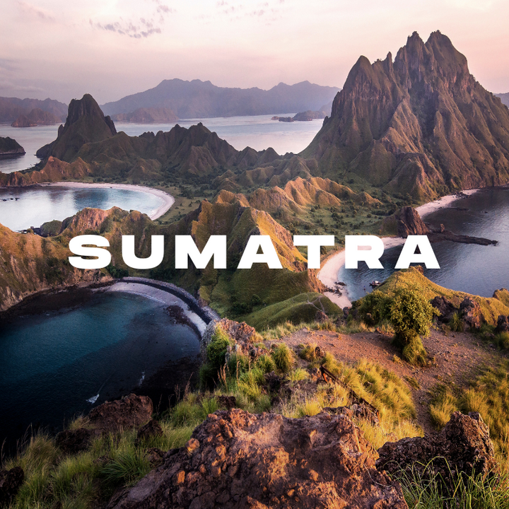 Sumatra Coffee