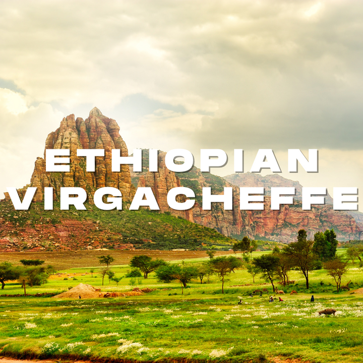 Ethiopian Virgacheffe Coffee