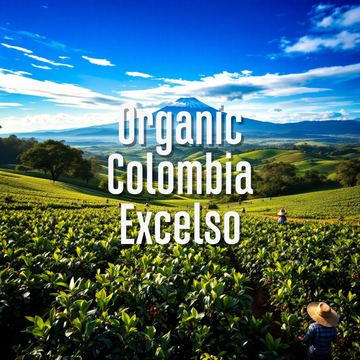 Fair Trade Organic Colombia Excelso