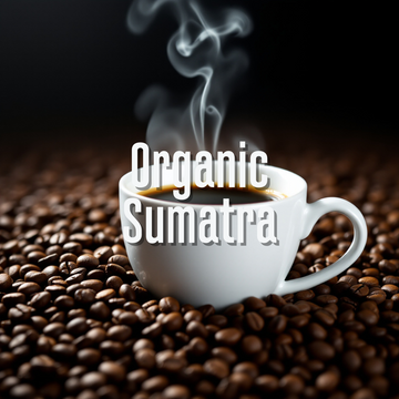 Fair Trade Organic Sumatra Mandheling