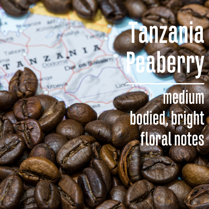 Tanzania Peaberry