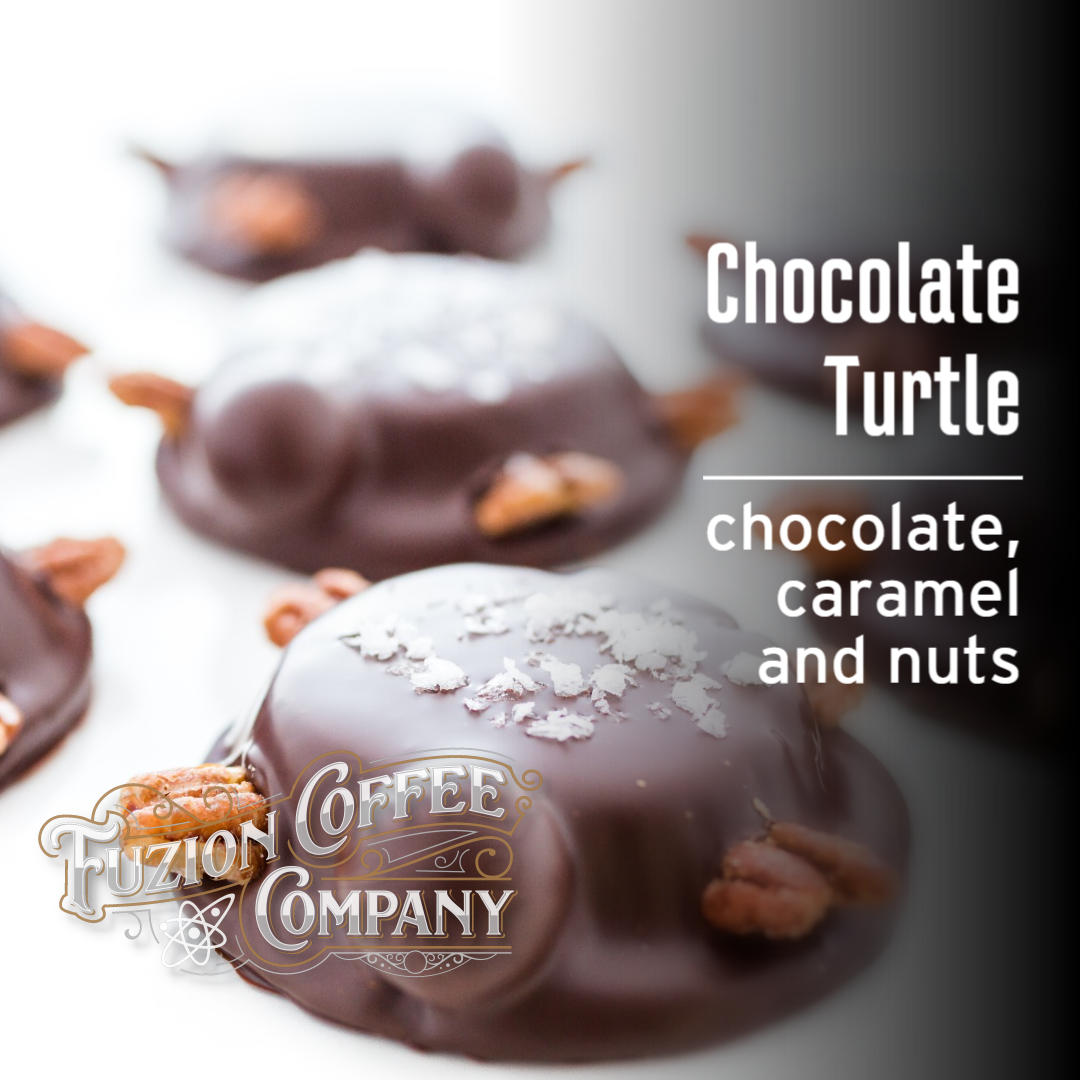 Chocolate Turtle