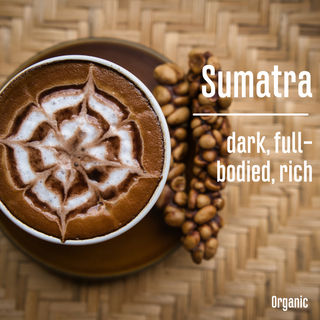 Fair Trade Organic Sumatra